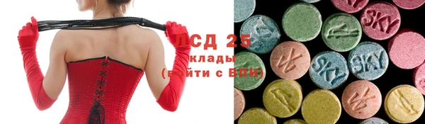 дживик Алзамай